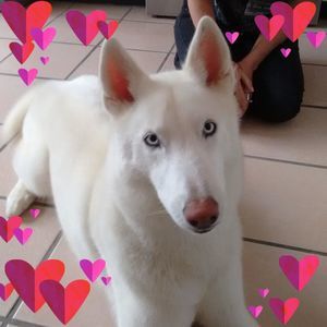 Meet your Posher, Pam